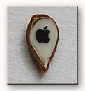 Логотип Apple на срезе зёрнышка яблока