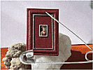 Микроминиатюра с картины Н.И. Аргунова. . Самая маленькая в мире